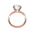 Blessed Decoration Ring Mu Online