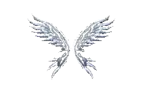 Wings of Soul Mu Online